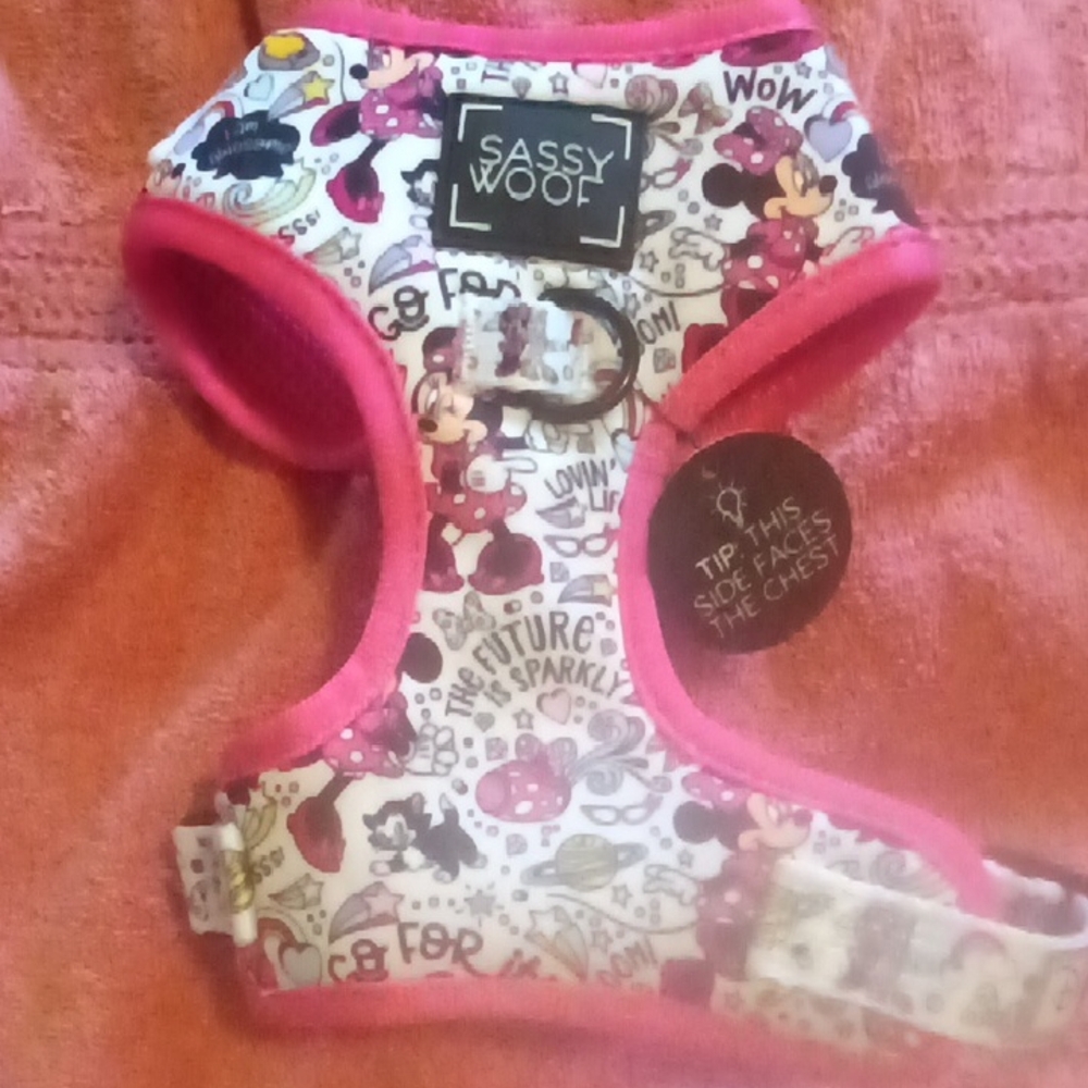 Disney Minnie Mouse Dog Harness - Pink and White